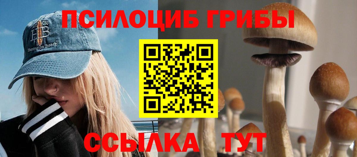 Сочи  где найти наркотики  Вход с VPN  Псилоцибиновые грибы GOLDEN TEACHER 